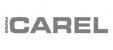 Logo gris Carel